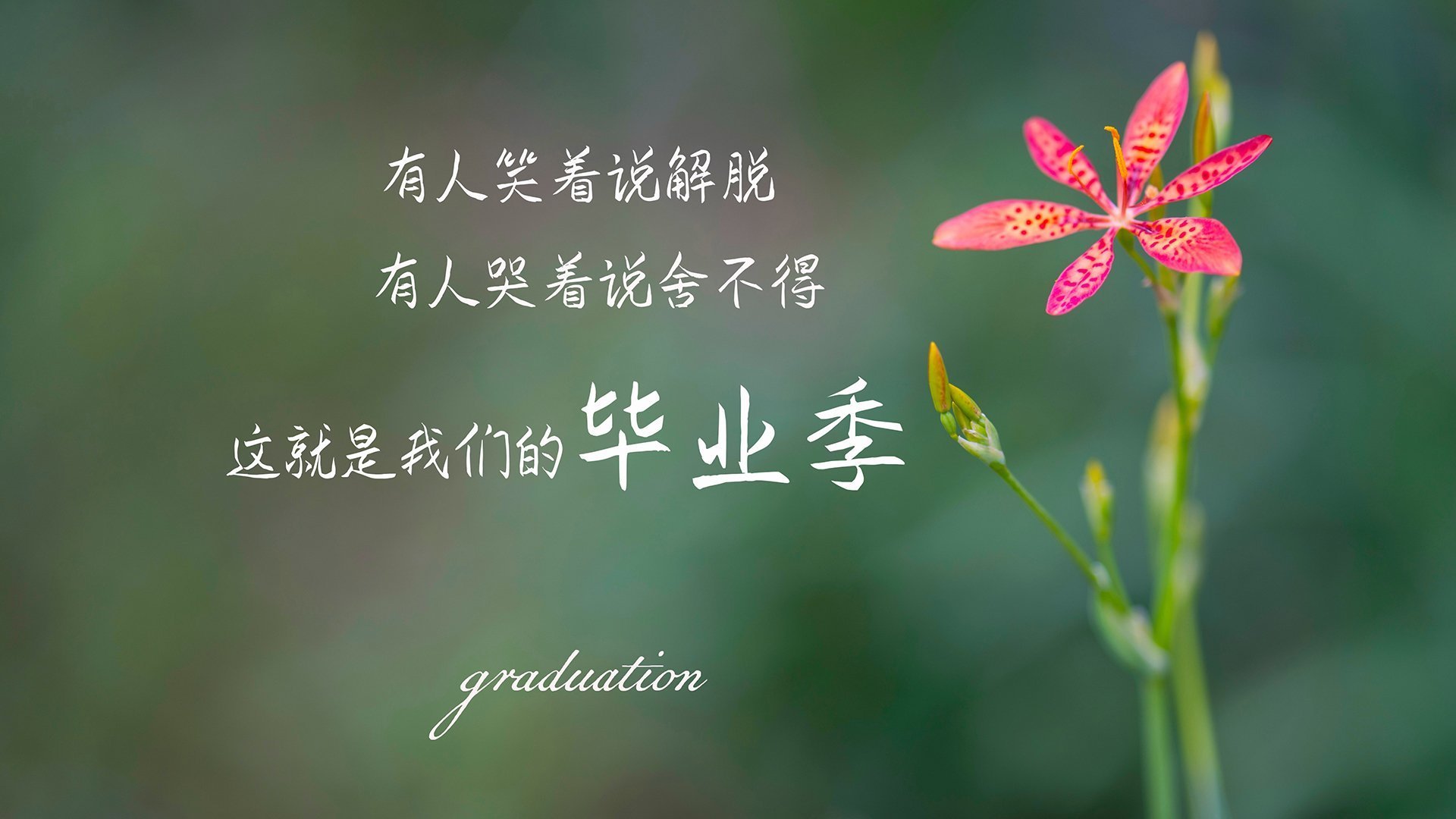 多特蒙德年轻中场崭露头角，迎来未来之星，多特蒙德 年轻