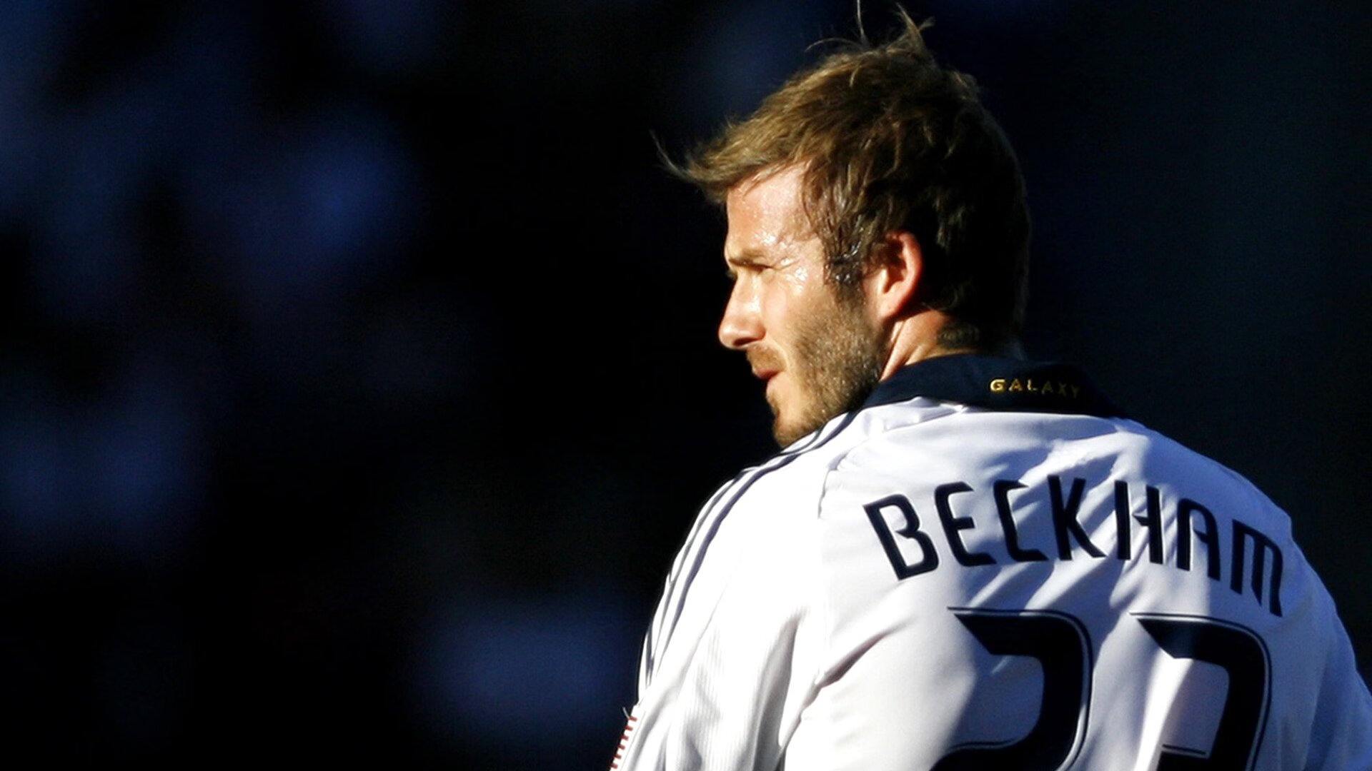 绿色低碳足球场建设成为行业新风尚，推动可持续发展，绿色城市低碳生活